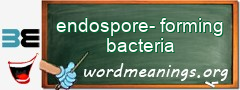 WordMeaning blackboard for endospore-forming bacteria
